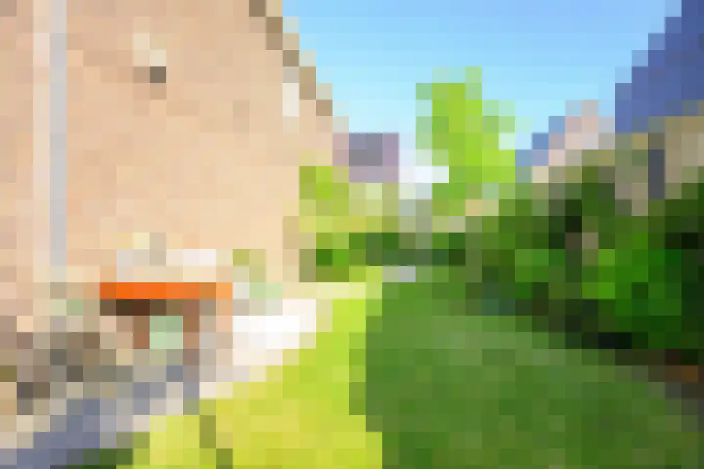 Hondshaai 8 Schagen thumbnail 21