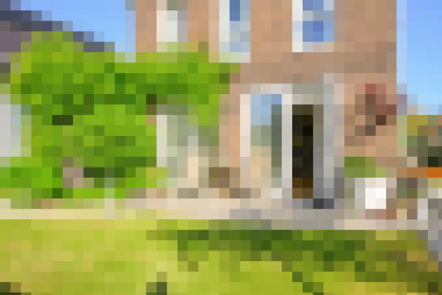 Hondshaai 8 Schagen thumbnail 22