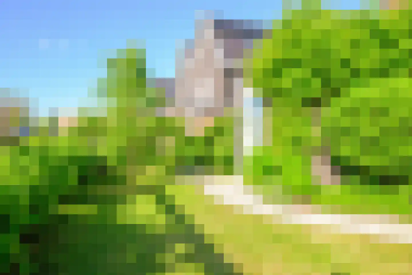 Hondshaai 8 Schagen thumbnail 23