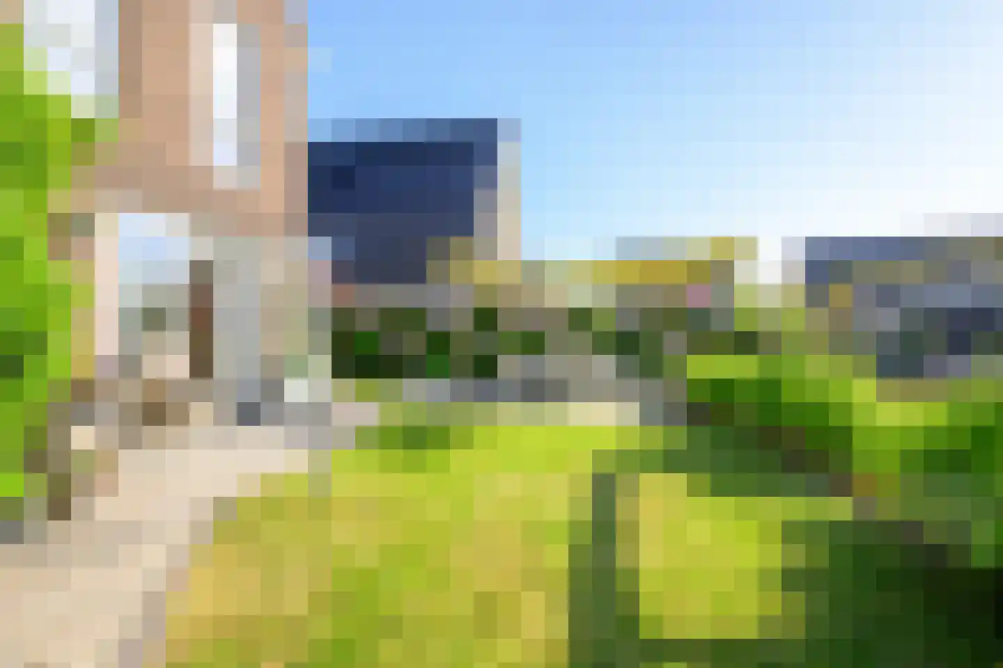 Hondshaai 8 Schagen thumbnail 24