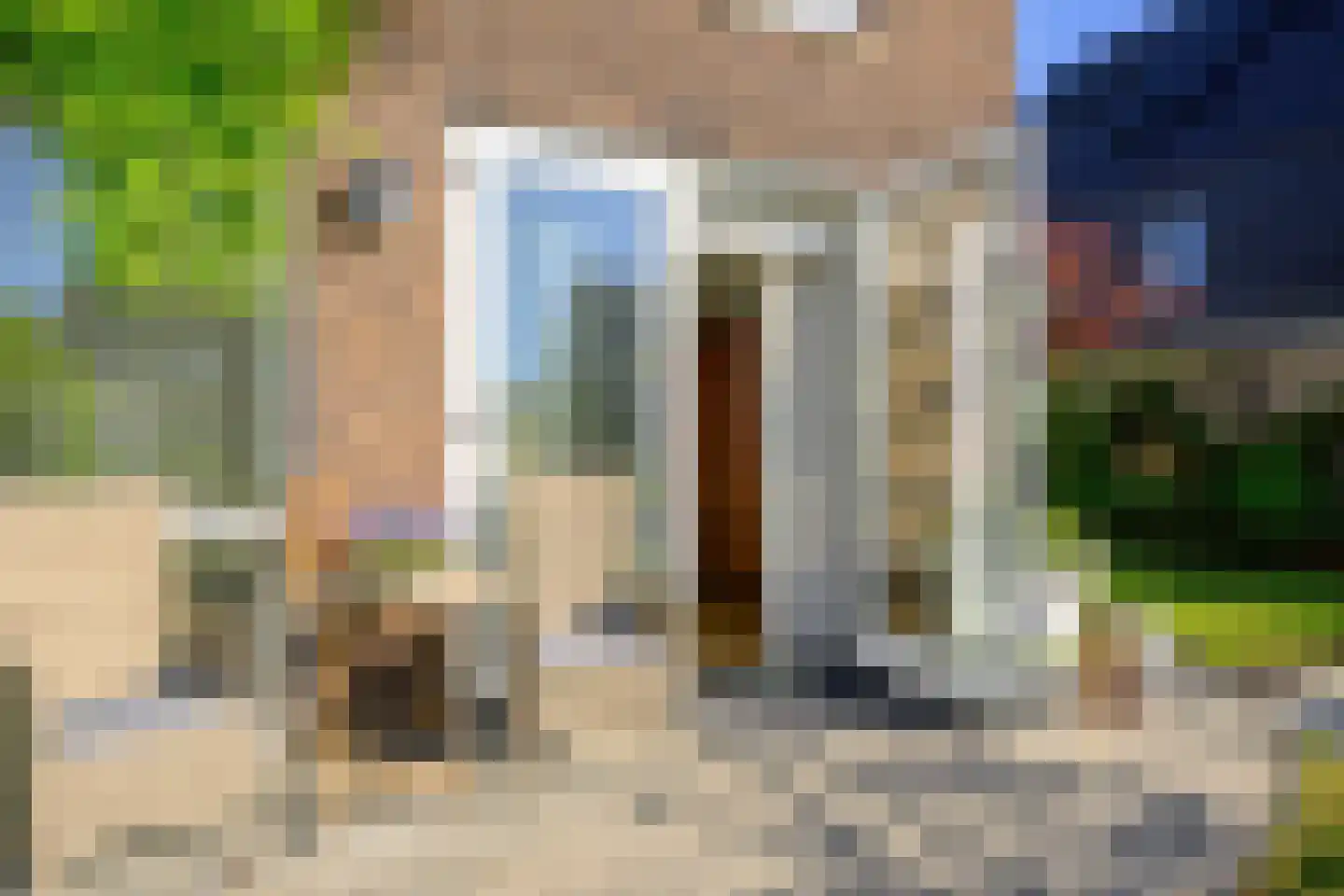 Hondshaai 8 Schagen thumbnail 25