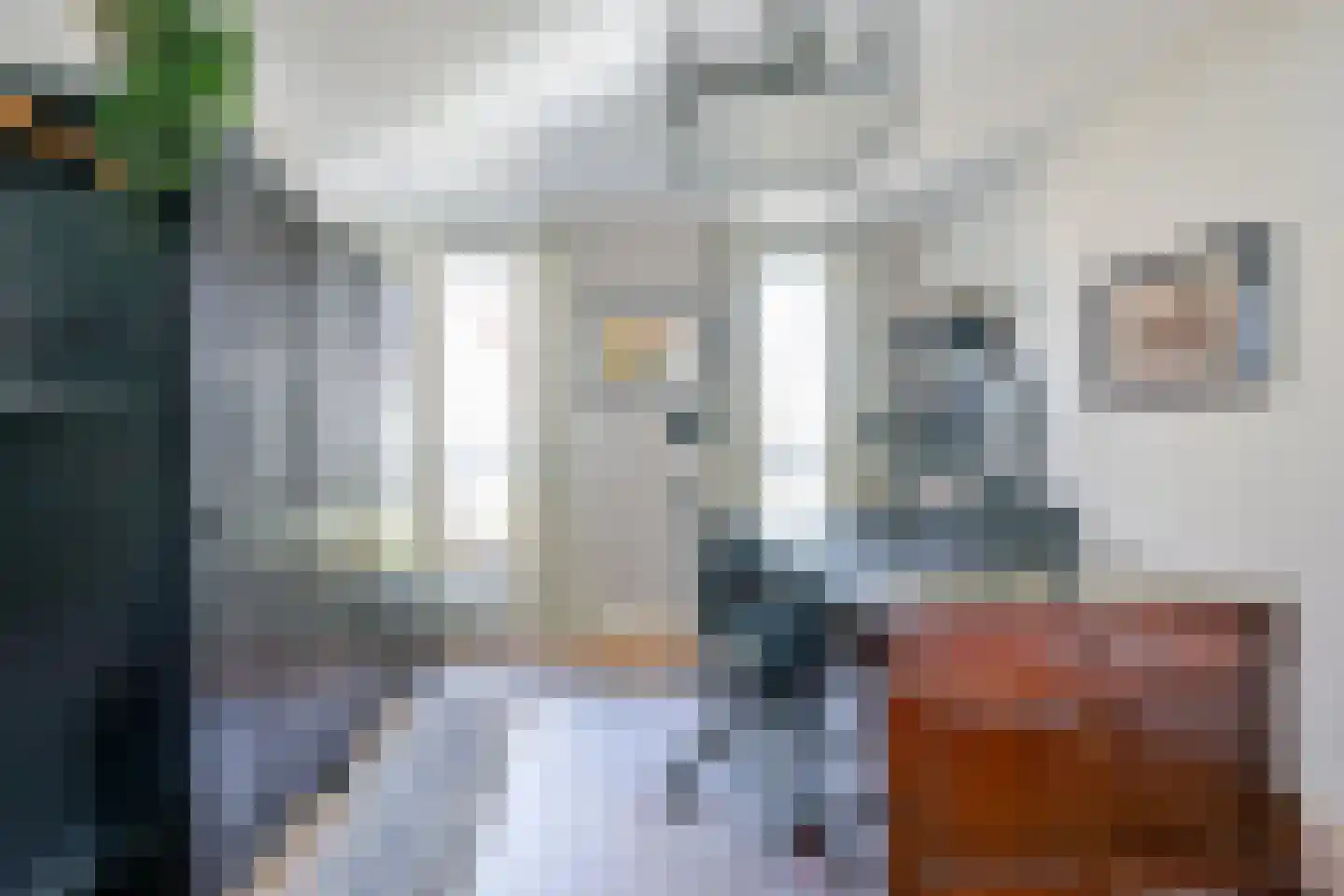 Hondshaai 8 Schagen thumbnail 27