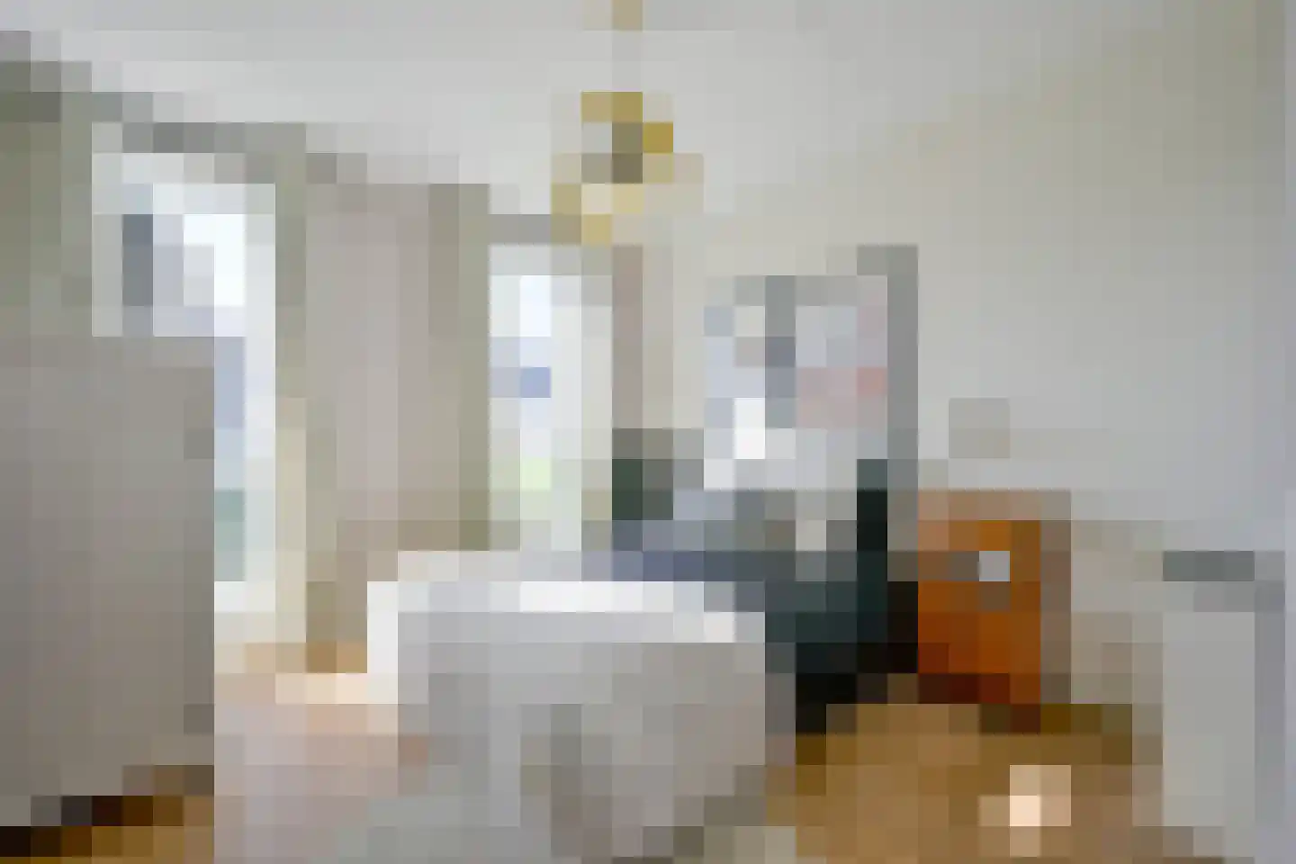 Hondshaai 8 Schagen thumbnail 30