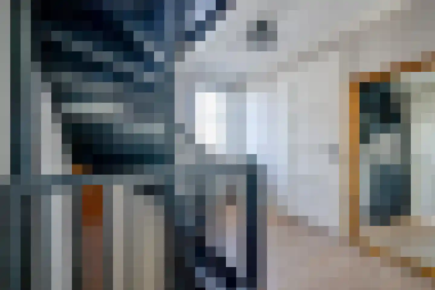 Hondshaai 8 Schagen thumbnail 37