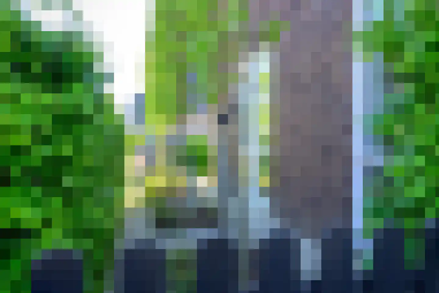 Hondshaai 8 Schagen thumbnail 44