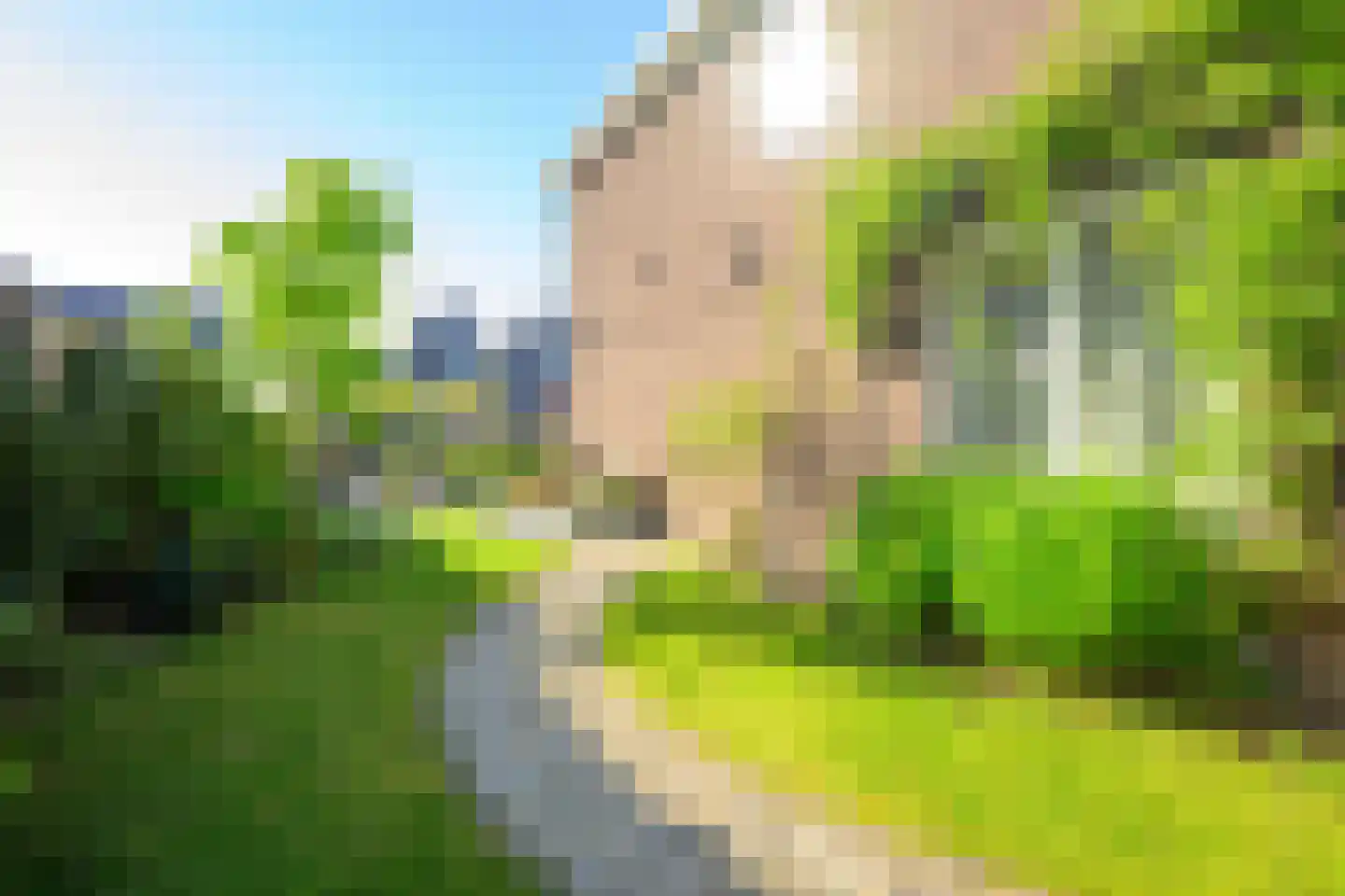 Hondshaai 8 Schagen thumbnail 45