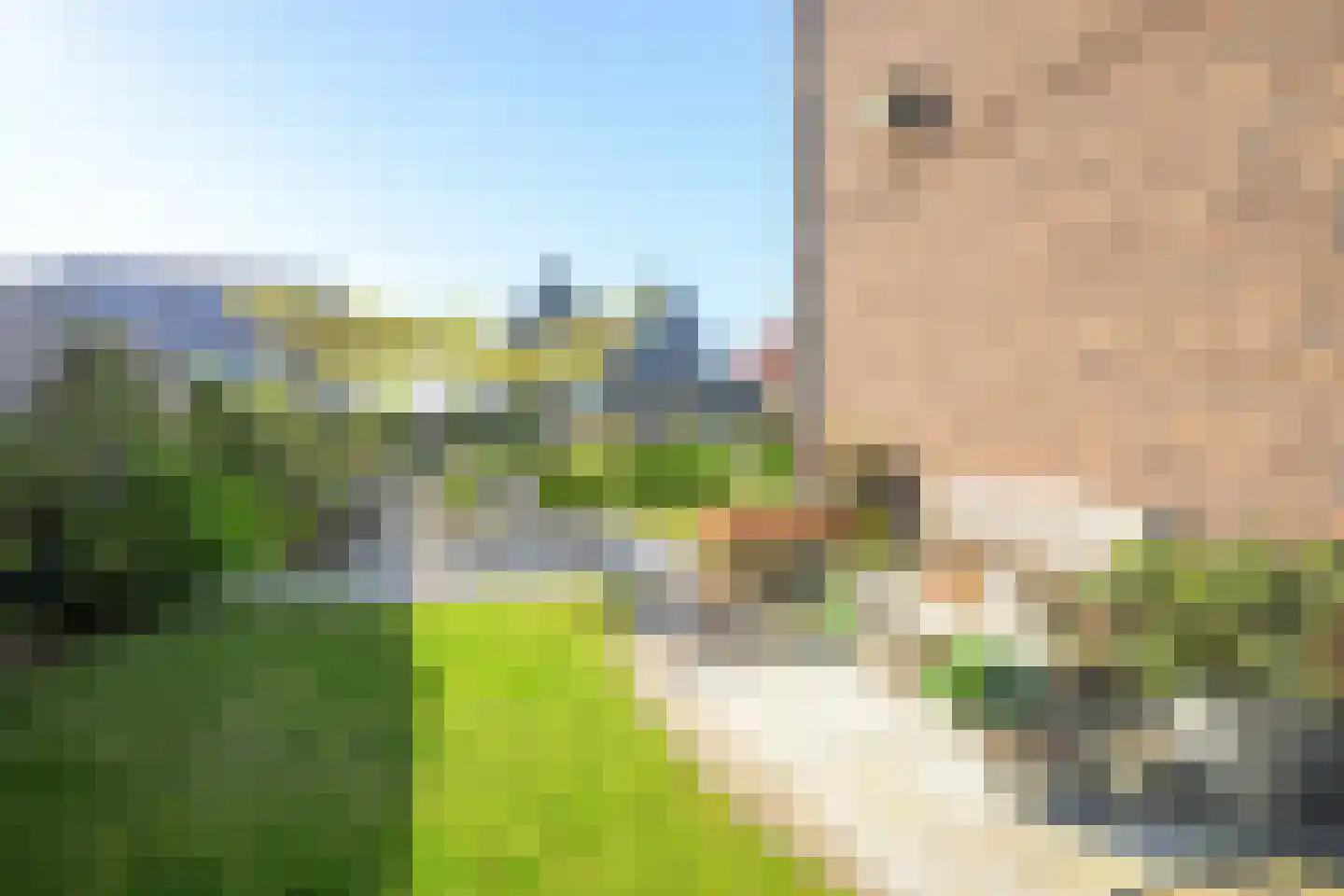 Hondshaai 8 Schagen thumbnail 46