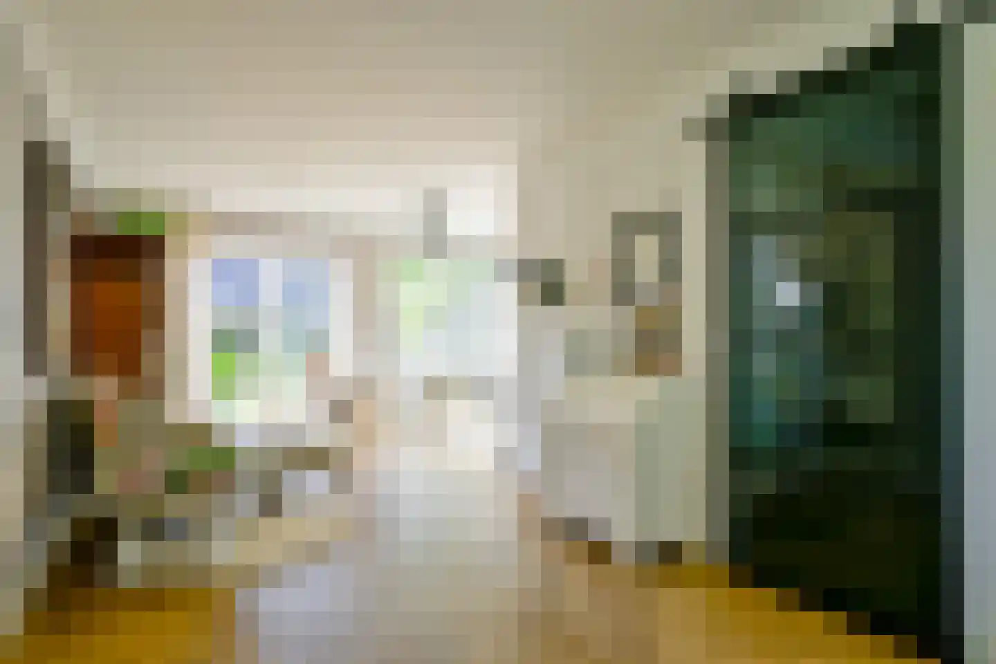 Hondshaai 8 Schagen thumbnail 6