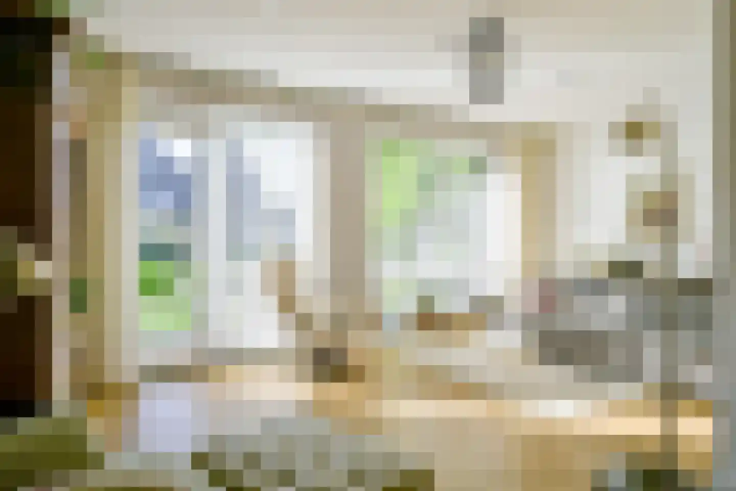 Hondshaai 8 Schagen thumbnail 7