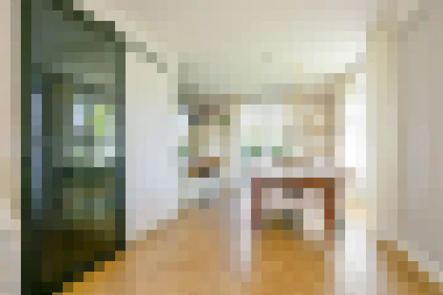 Hondshaai 8 Schagen thumbnail 8