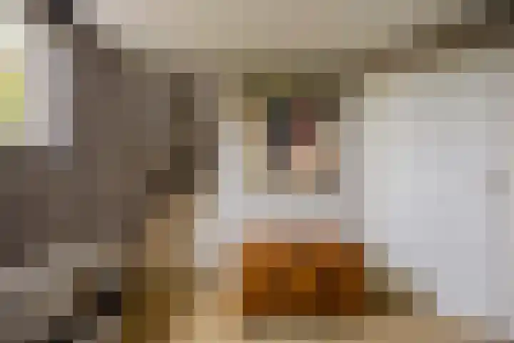Hondsiepsebaan 11 Ottersum thumbnail 15