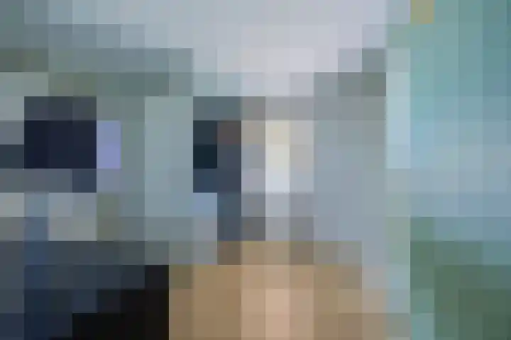 Hondsiepsebaan 11 Ottersum thumbnail 31