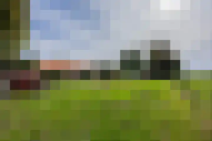 Hondsiepsebaan 11 Ottersum thumbnail 59