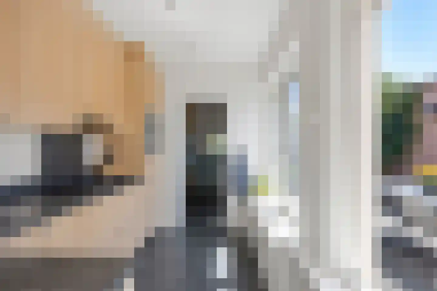 Hondsklauw 26 Sint-Michielsgestel thumbnail 14