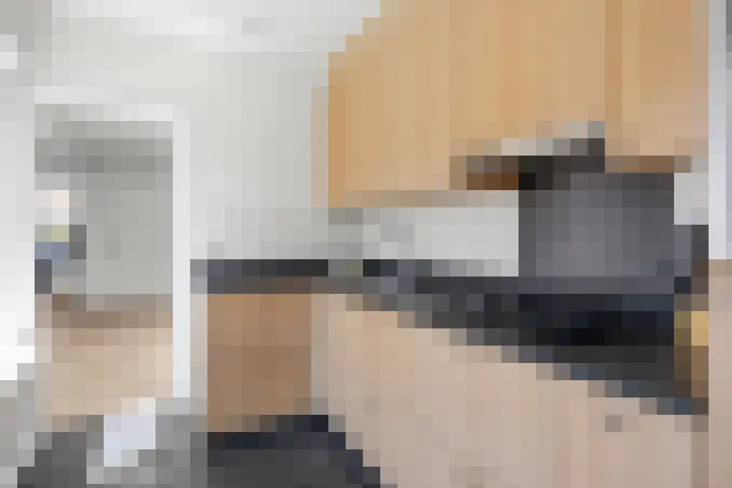 Hondsklauw 26 Sint-Michielsgestel thumbnail 16