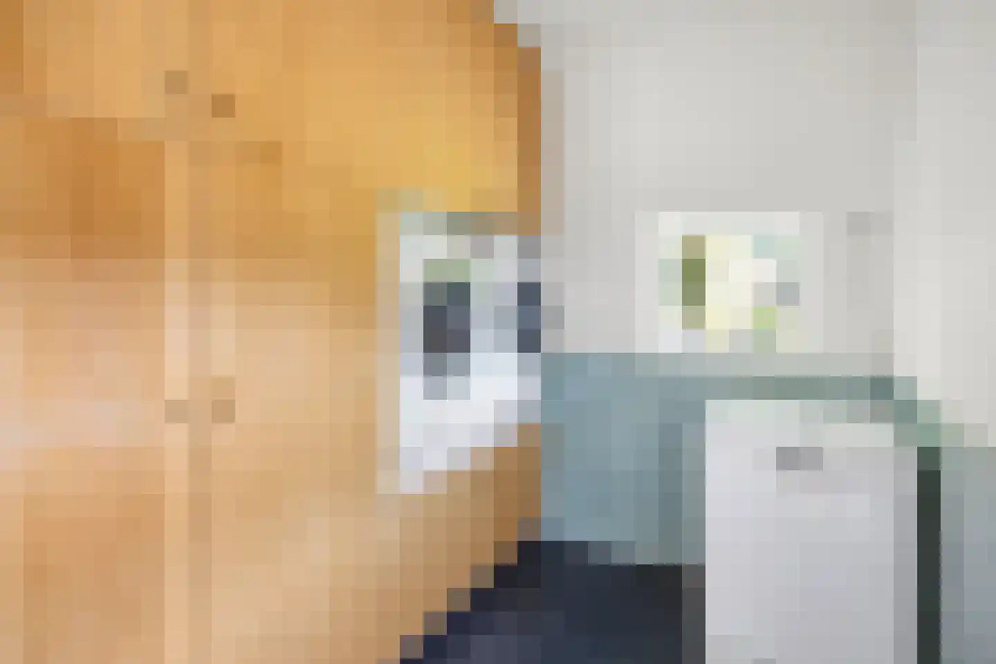 Hondsklauw 26 Sint-Michielsgestel thumbnail 17