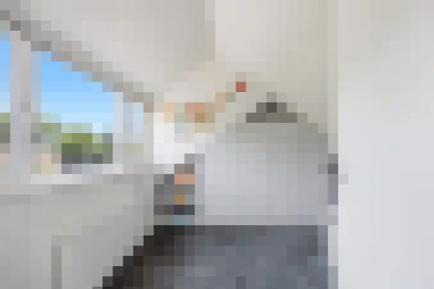 Hondsklauw 26 Sint-Michielsgestel thumbnail 29