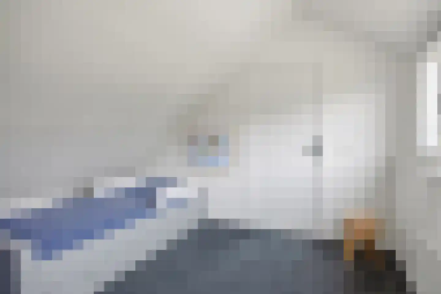 Hondsklauw 26 Sint-Michielsgestel thumbnail 30
