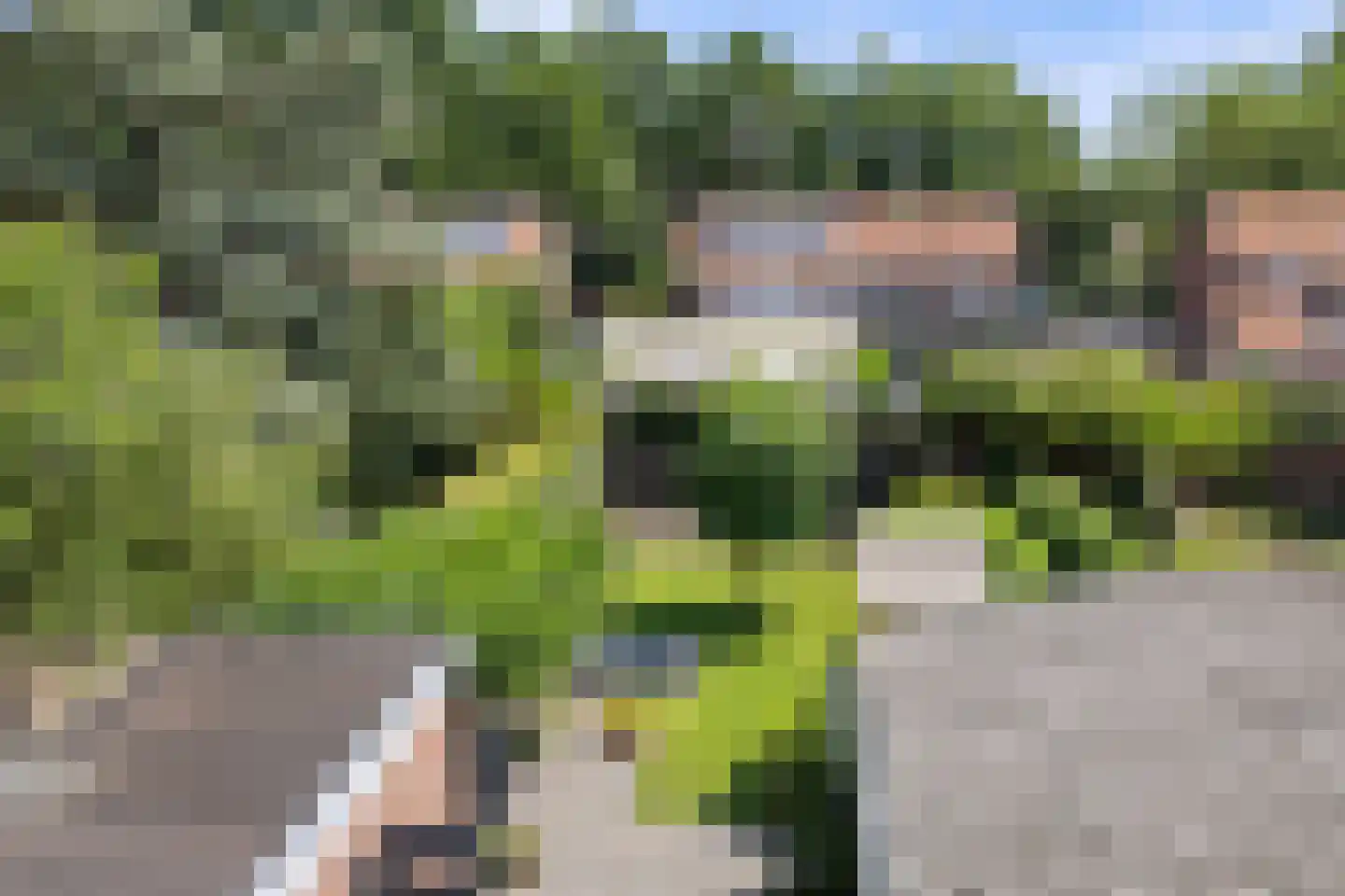 Hondsklauw 26 Sint-Michielsgestel thumbnail 32