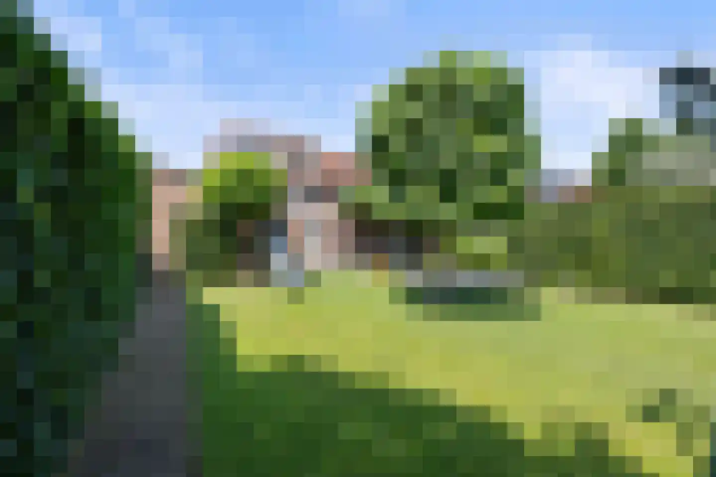 Hondsklauw 26 Sint-Michielsgestel thumbnail 35