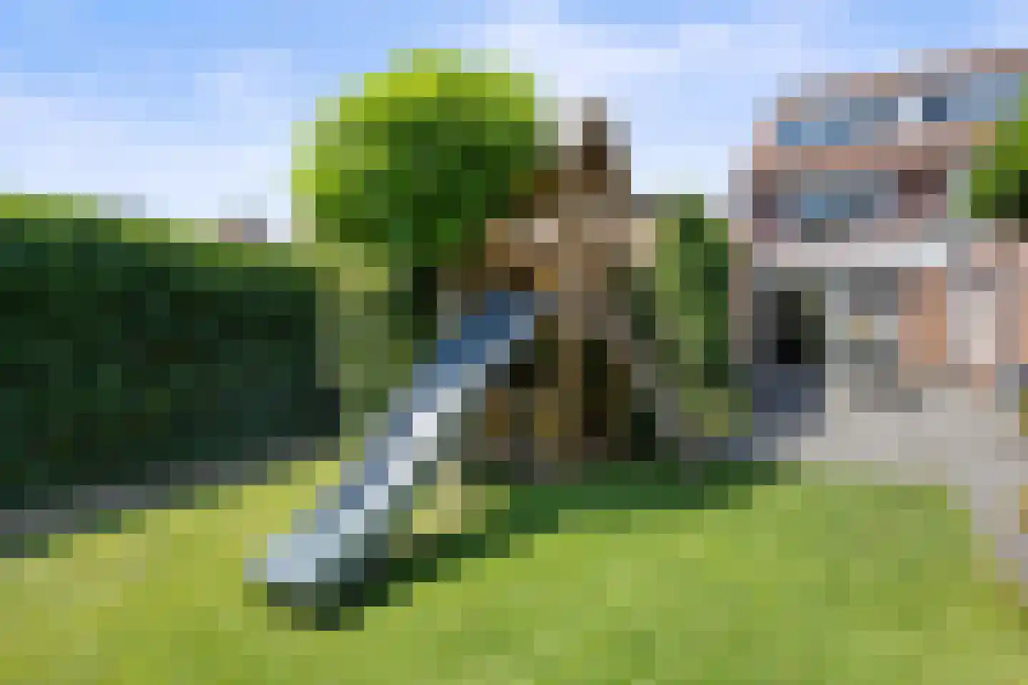 Hondsklauw 26 Sint-Michielsgestel thumbnail 37