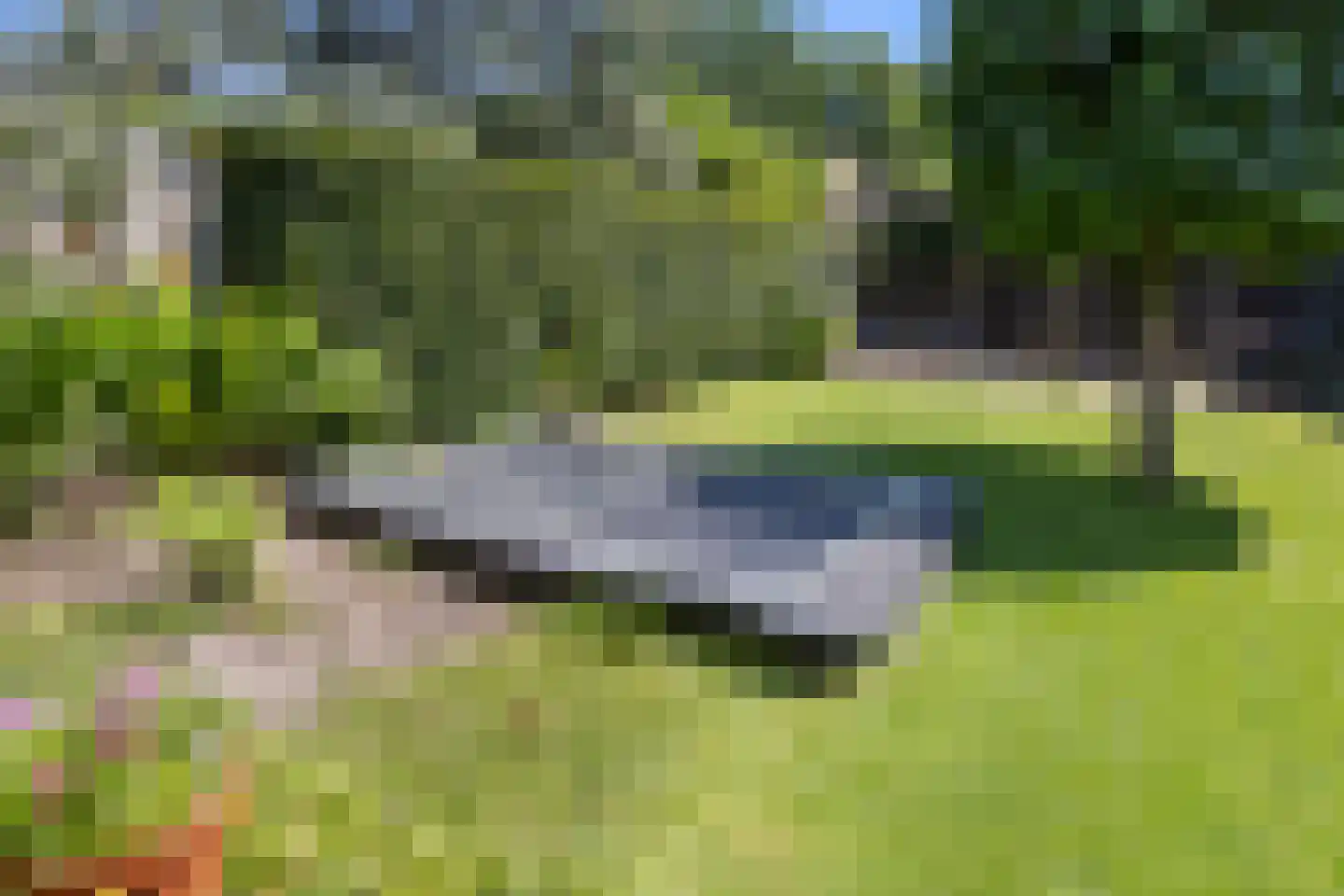 Hondsklauw 26 Sint-Michielsgestel thumbnail 38