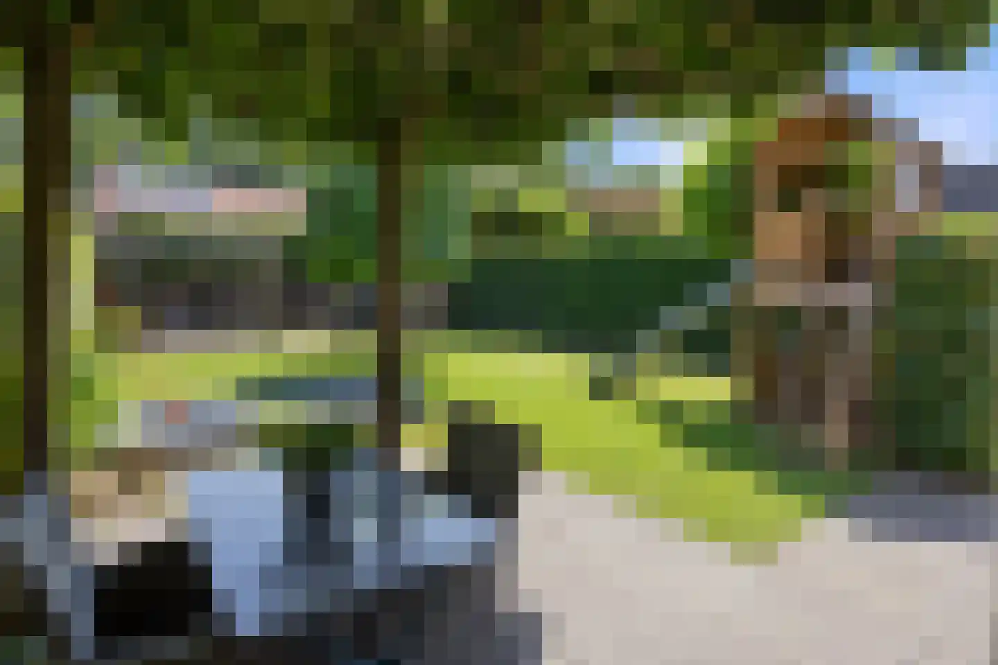 Hondsklauw 26 Sint-Michielsgestel thumbnail 39