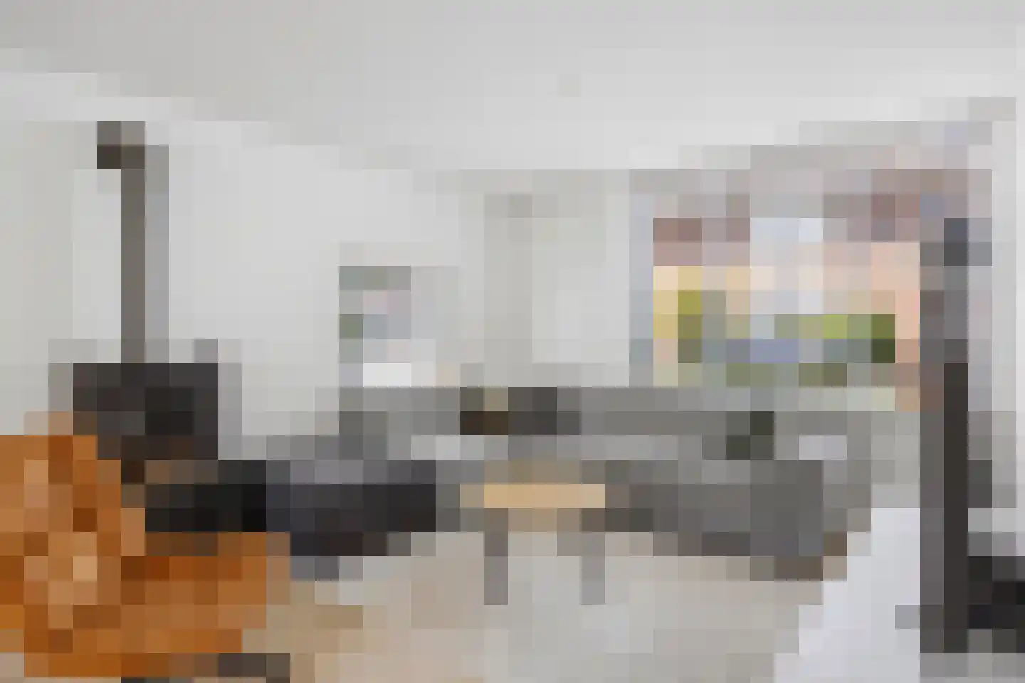 Hondsklauw 26 Sint-Michielsgestel thumbnail 4