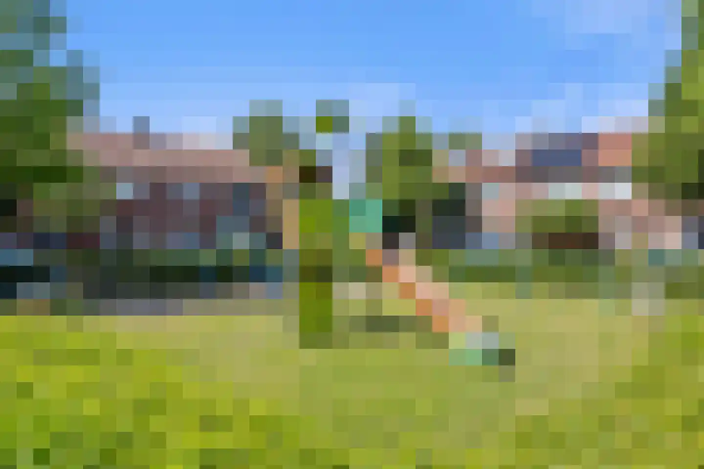 Hondsklauw 26 Sint-Michielsgestel thumbnail 44