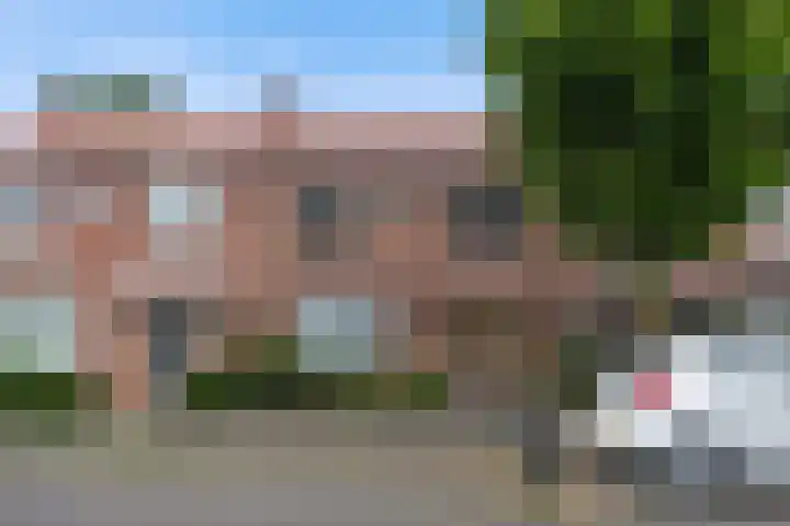 Hondsklauw 5 Sint-Michielsgestel