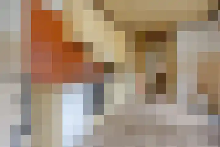 Hondsklauw 5 Sint-Michielsgestel thumbnail 11