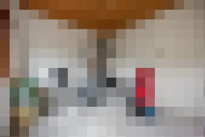 Hondsklauw 5 Sint-Michielsgestel thumbnail 12