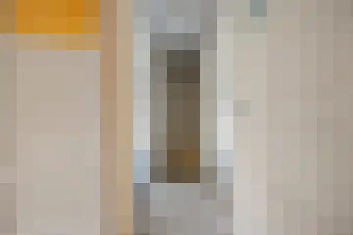 Hondsklauw 5 Sint-Michielsgestel thumbnail 13