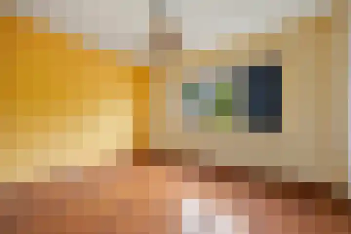 Hondsklauw 5 Sint-Michielsgestel thumbnail 14