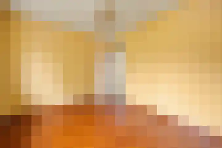 Hondsklauw 5 Sint-Michielsgestel thumbnail 15