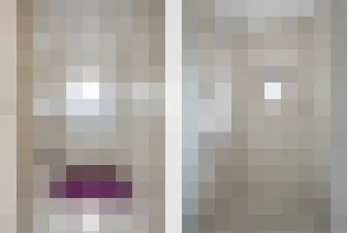 Hondsklauw 5 Sint-Michielsgestel thumbnail 16