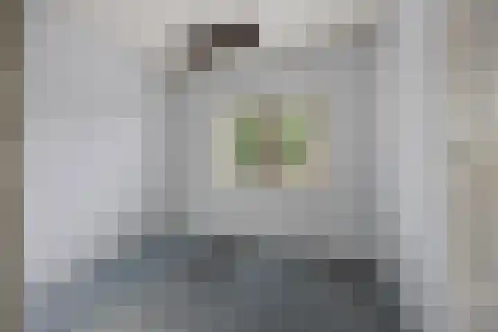 Hondsklauw 5 Sint-Michielsgestel thumbnail 17