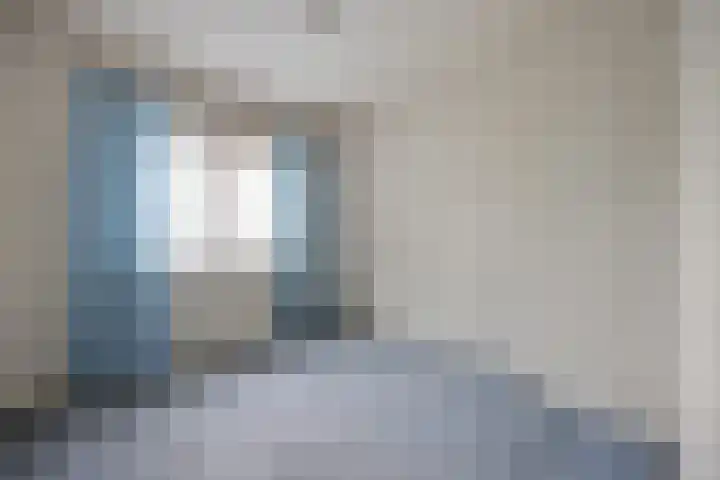 Hondsklauw 5 Sint-Michielsgestel thumbnail 18