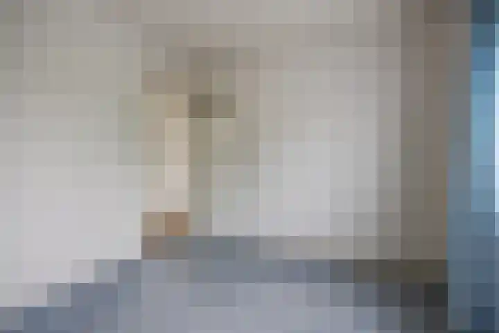 Hondsklauw 5 Sint-Michielsgestel thumbnail 19