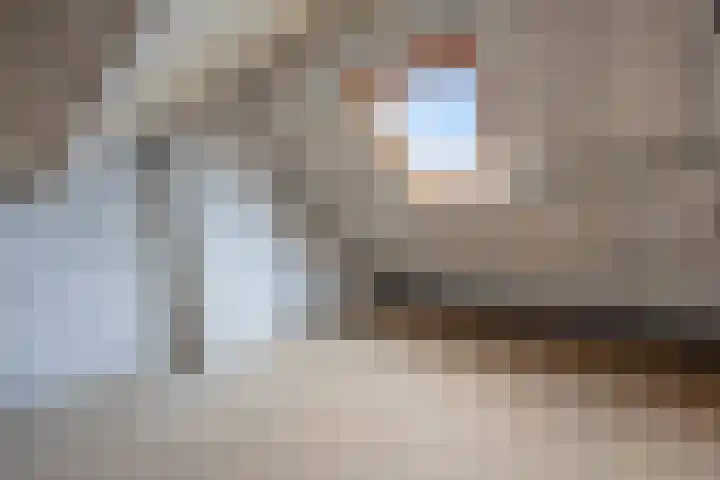 Hondsklauw 5 Sint-Michielsgestel thumbnail 22
