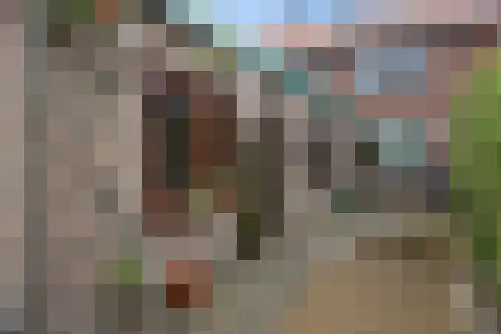 Hondsklauw 5 Sint-Michielsgestel thumbnail 24