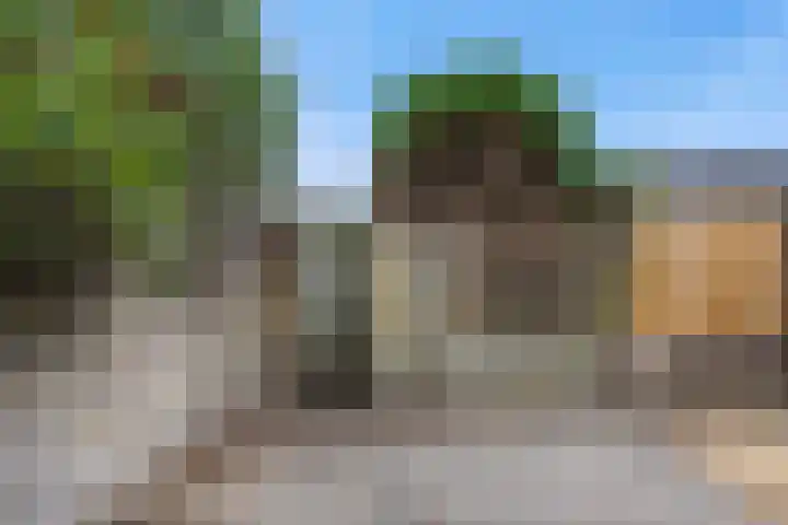 Hondsklauw 5 Sint-Michielsgestel thumbnail 26