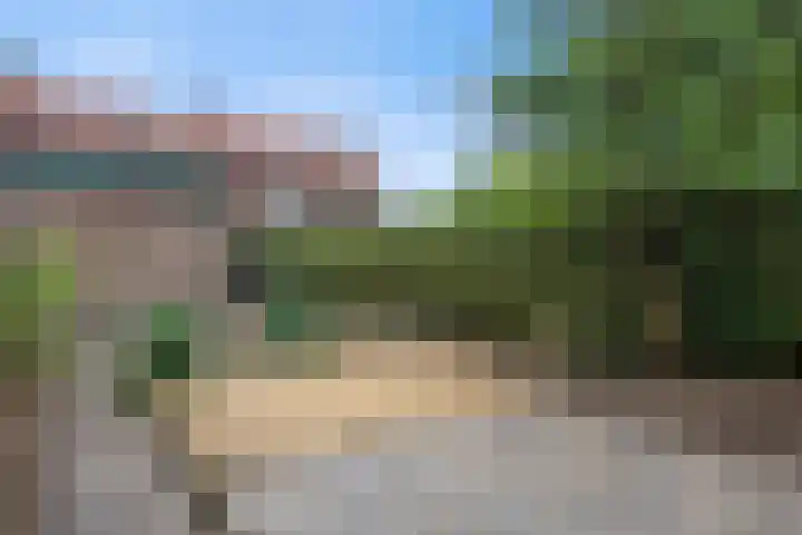 Hondsklauw 5 Sint-Michielsgestel thumbnail 27