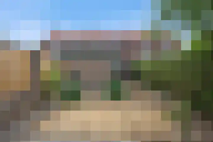 Hondsklauw 5 Sint-Michielsgestel thumbnail 28
