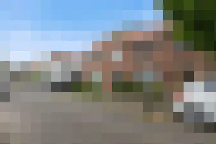 Hondsklauw 5 Sint-Michielsgestel thumbnail 29