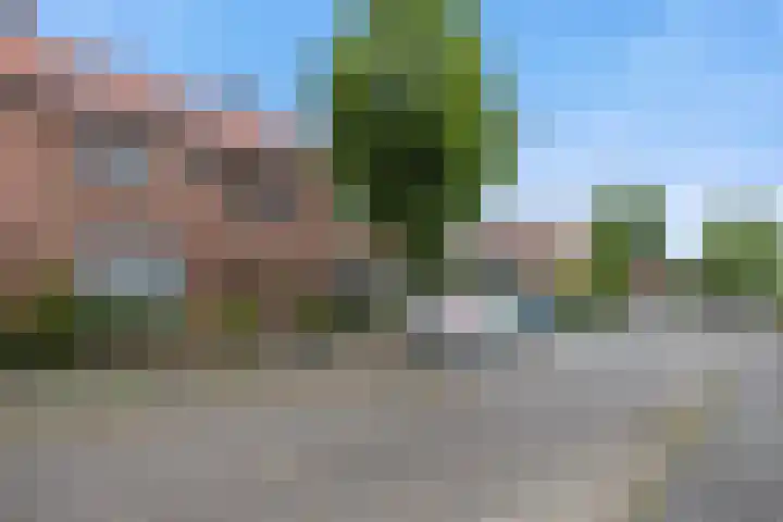 Hondsklauw 5 Sint-Michielsgestel thumbnail 30