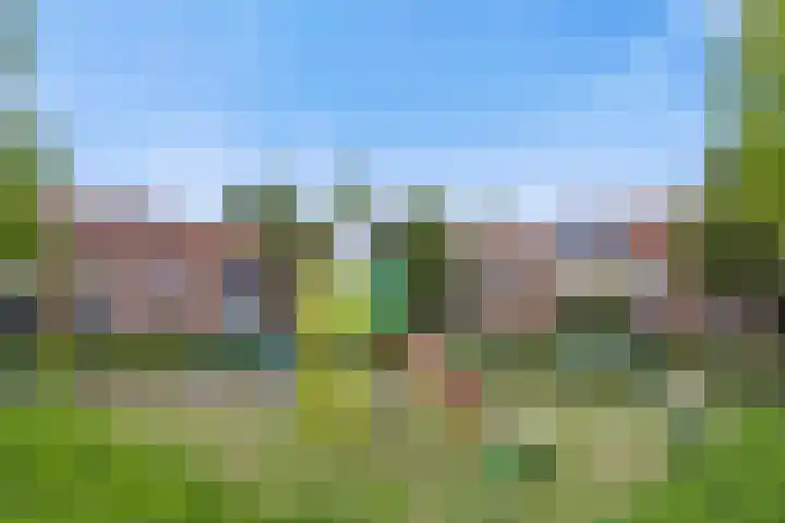 Hondsklauw 5 Sint-Michielsgestel thumbnail 31
