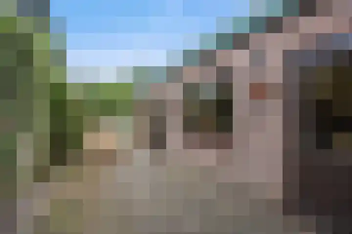 Hondsklauw 5 Sint-Michielsgestel thumbnail 4