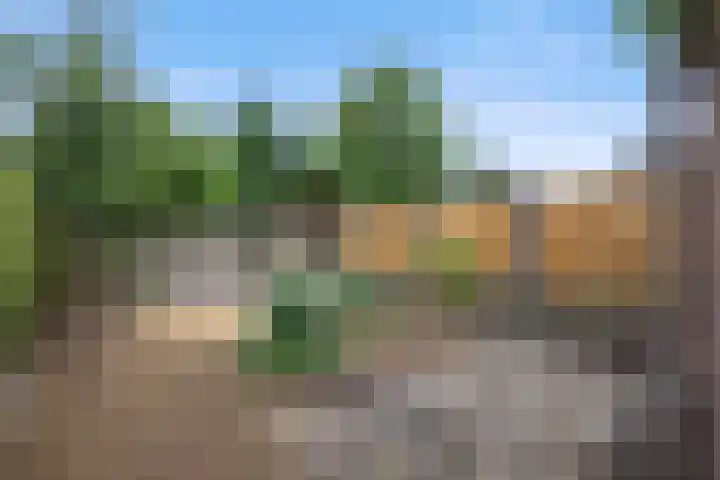 Hondsklauw 5 Sint-Michielsgestel thumbnail 5