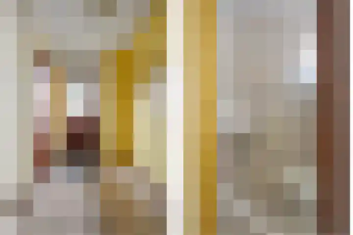 Hondsklauw 5 Sint-Michielsgestel thumbnail 7